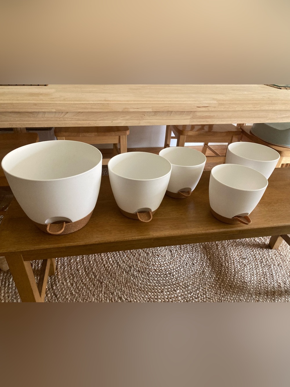 Five Self Watering Pots - 9”, 7”, 6” Diameter